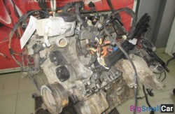 Лапа двигателя прав. (22 Подвеска двигателя и КПП) 22116777262 - купить Твердилово