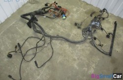 Проводка двигателя m54 3.0 (12 Электрооборудование двигателя) 12517513548 - купить Твердилово