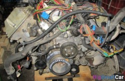 Лапа двигателя лев. (22 Подвеска двигателя и КПП) 64557503477 - купить Твердилово